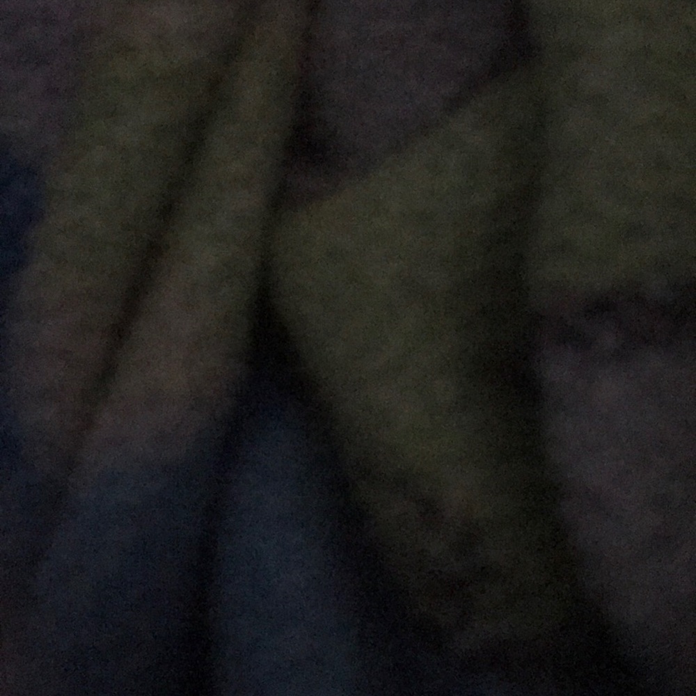 Meet your Posher, Lindsey